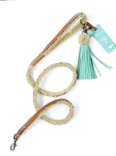 ⑧ DOG WITH A MISSION｜テディー・レザードッグリード